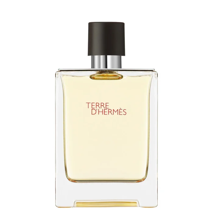 Hermes Terre D Hermes Erkek EDT 100ml TESTER