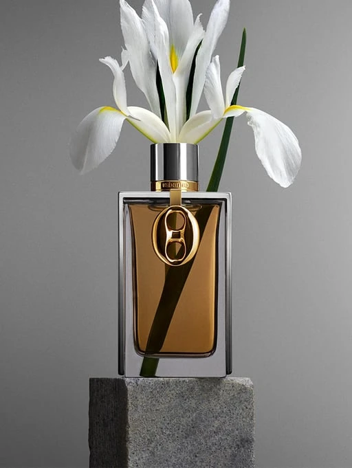 Paco rabbane silver skin