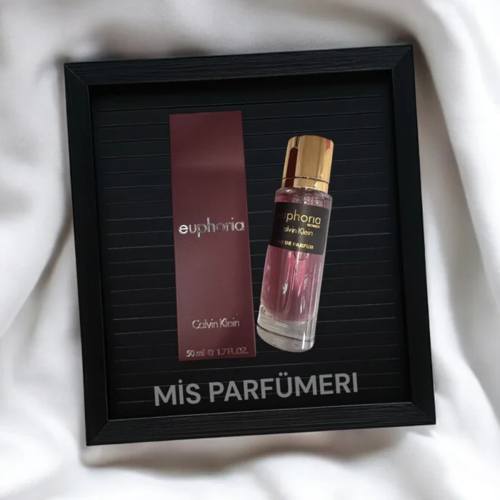 Carolina Herrera Bad Boy Edt 50 ml çanta boy  Erkek Parfüm